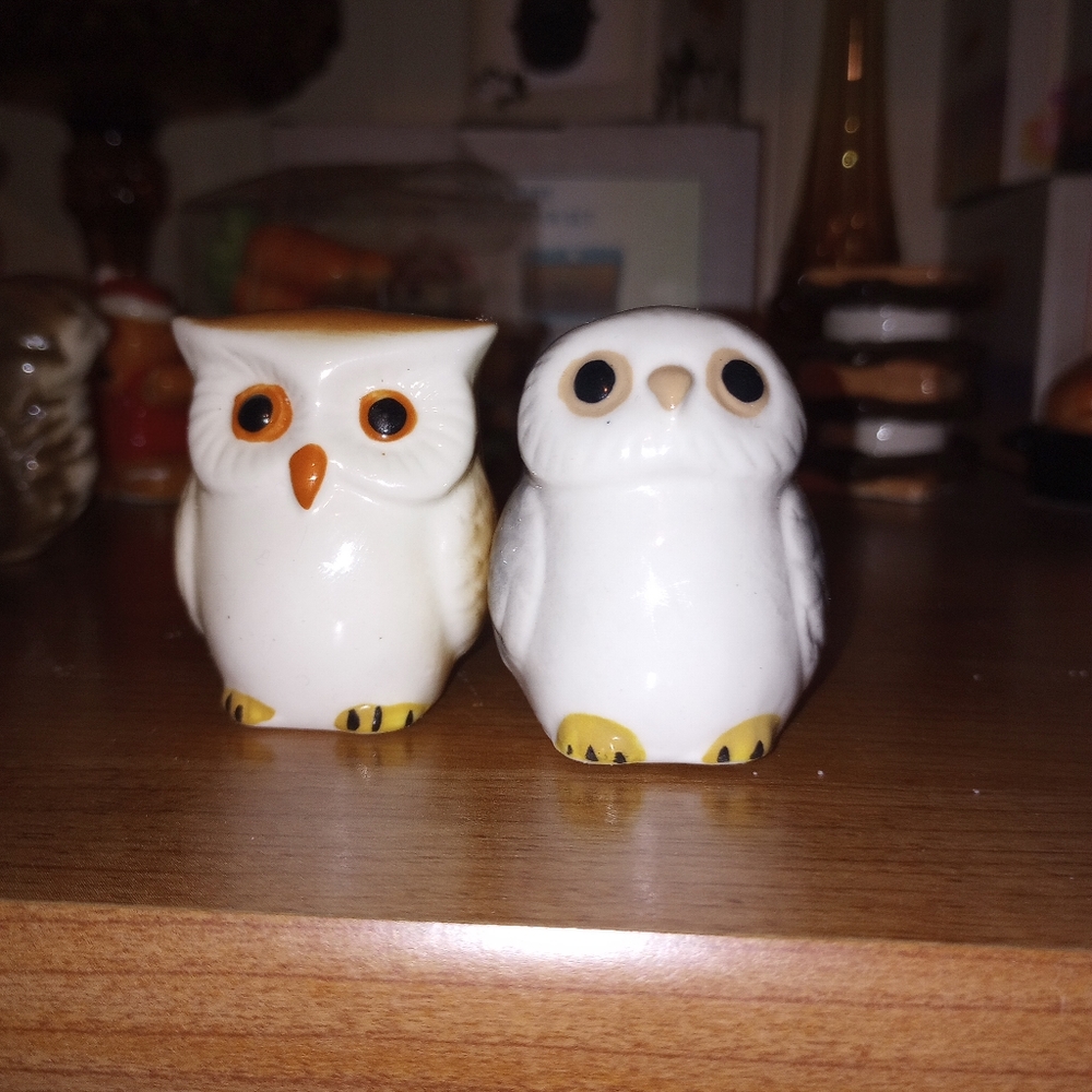 Owl salt and pepper shaker